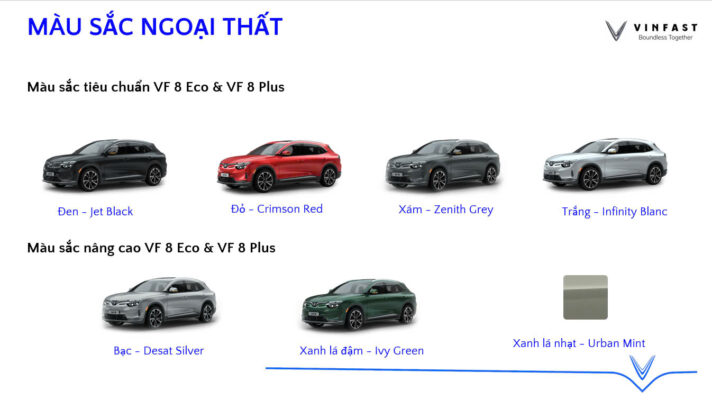 z6546343259224 c98191f330afd138182a831c68f2f98d VinFast Vũng Tàu
