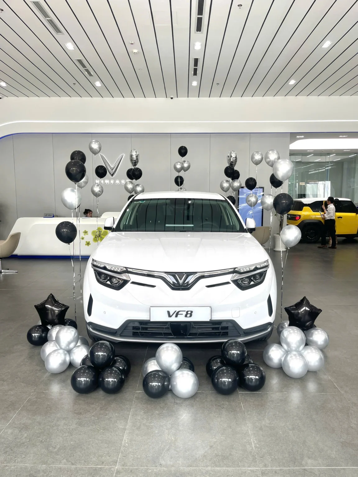 Mua xe tại vinfast Vũng Tàu